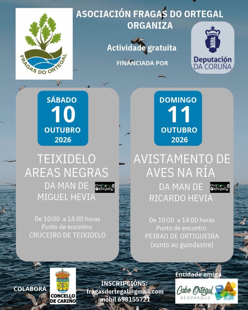 RUTA A TEIXIDELO - AVISTAMENTO DE AVES NA RÍA