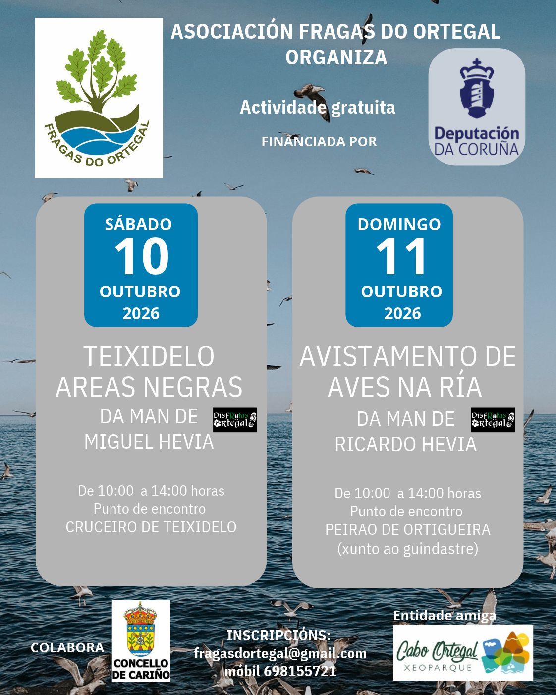 RUTA A TEIXIDELO - AVISTAMENTO DE AVES NA RÍA