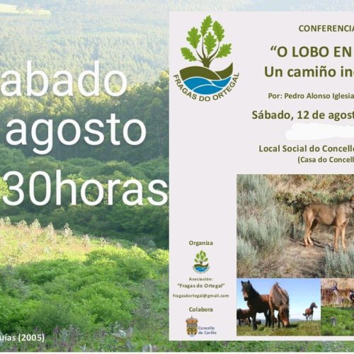 Conferencia : «O LOBO» – 12 Agosto 2023