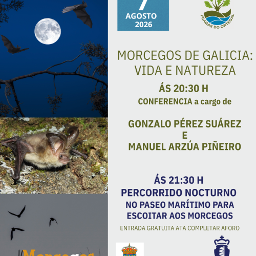 Noite de Morcegos – 7 de Agosto 2026