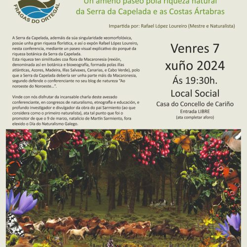 Conferencia: «ALFAIAS ARTABRAS, UN TESOURO ABANDOADO»  – 7 Xuño 2024