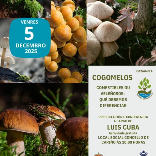 Cogomelos – Comestibles ou Veleñosos – 5 Decembro 2025