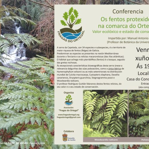 Conferencia: «OS FENTOS PROTEXIDOS NA COMARCA DO ORTEGAL» – 14 Xuño 2024