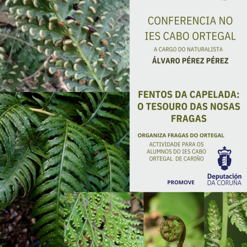 Conferencia no IES Cabo Ortegal a cargo do naturalista Álvaro Pérez Pérez -11 de Mayo de 2026