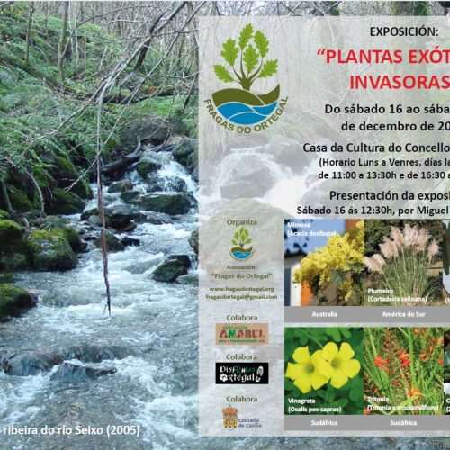 Exposición : «PLANTAS EXÓTICAS INVASORAS» – 16 Decembro 2023