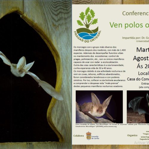 Conferencia: «Ven polos oídos !» – 13 Agosto 2024