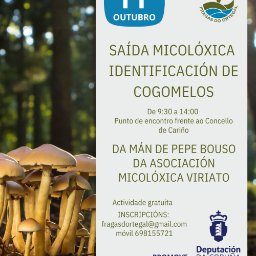 II Saída Micolóxica: «IDENTIFICACION DE COGOMELOS CON PEPE BOUSO»  – 11 Outubro 2025