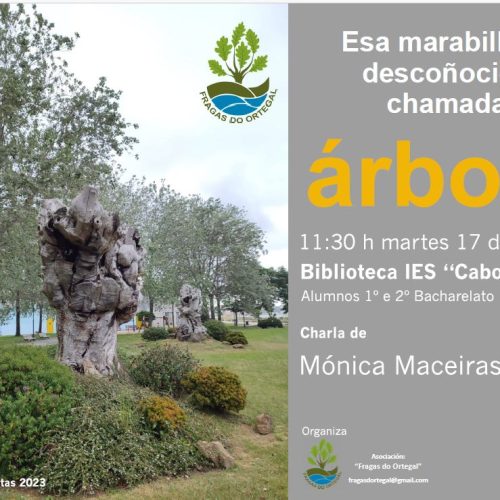 Conferencia: «ESA MARABILLOSA DESCOÑECIDA CHAMADA ÁRBORE» – 17 Outubro 2023