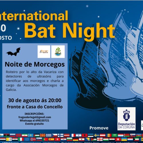 Noite de Morcegos – 30 Agosto 2025