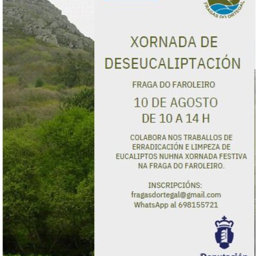 Xornada de deseucaliptación : «ERRADICACION E LIMPEZA NA FRAGA DO FAROLEIRO» – 10 Agosto 2025